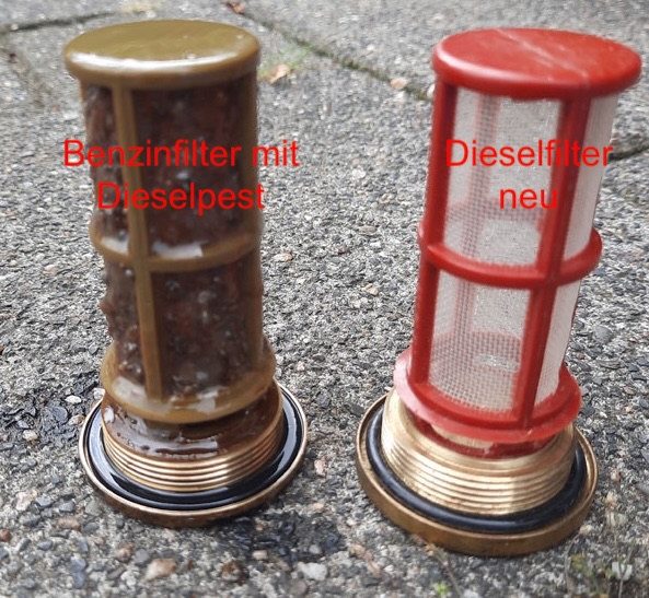 Datei:Dieselpest.jpg