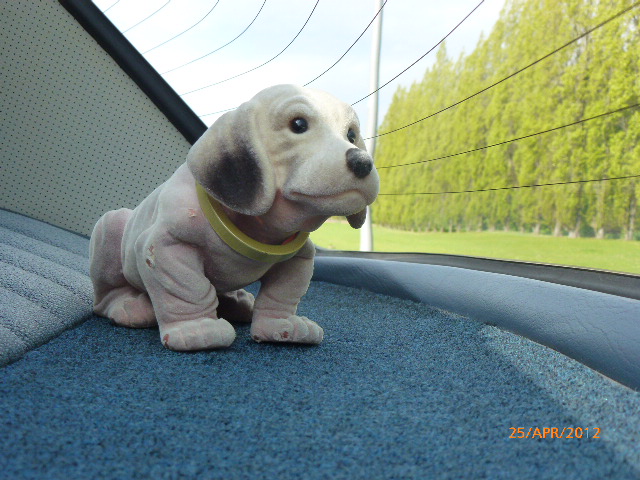 W115 / 220 Wackeldackel