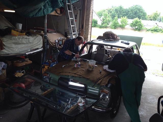 ...und die kuh, schaut zu