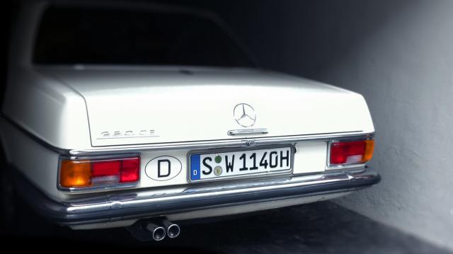 Hibernating Benz_6858668333_l